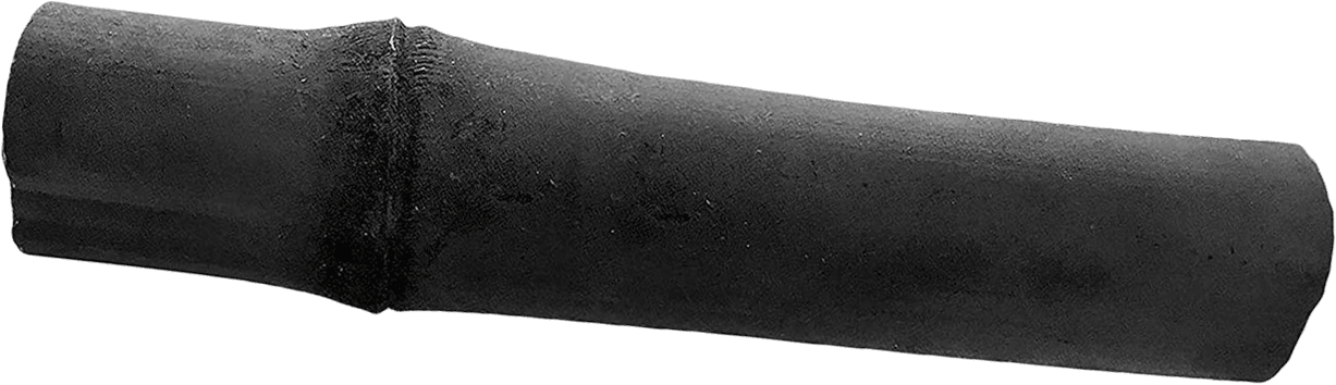 Bambou noir détouré